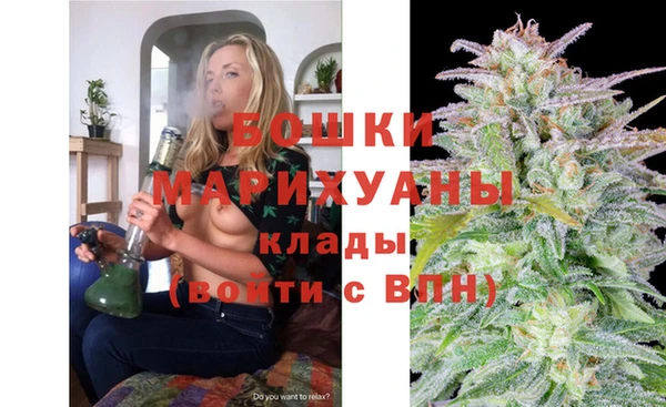 шишки Белокуриха